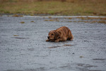 DSC_0206.jpg
