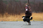DSC_0231.jpg